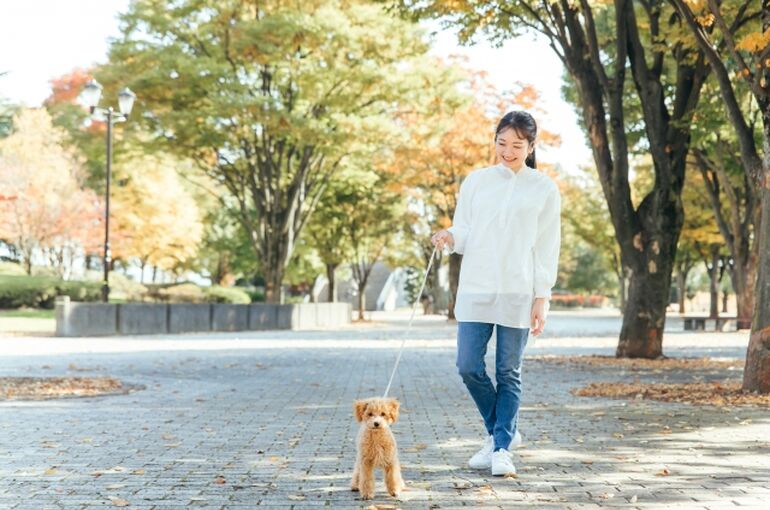 散歩す女性