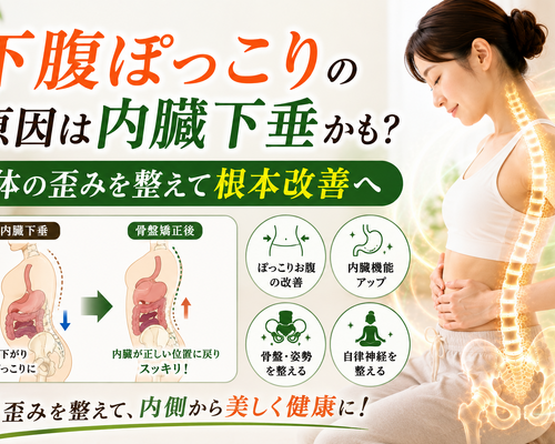 下腹ぽっこりの原因は内臓下垂かも？